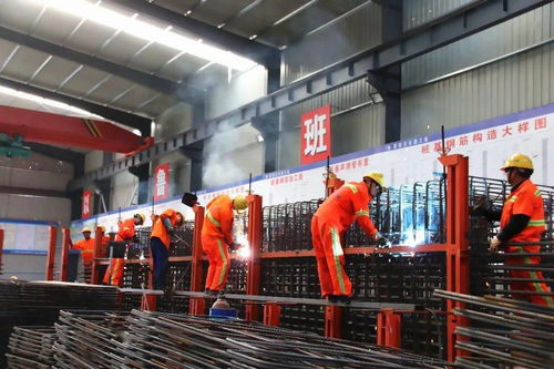 鄞玉项目荣获全国海员工会2019年度公路工程建设劳动和技能竞赛荣誉